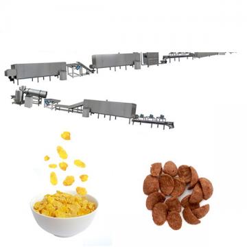 200~300kg/h Breakfast Corn Flakes Making Machine from Jinan manufacturer