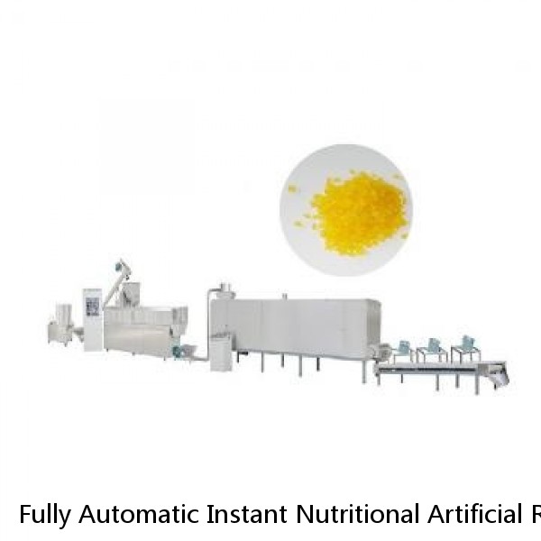 Fully Automatic Instant Nutritional Artificial Rice Processing Line