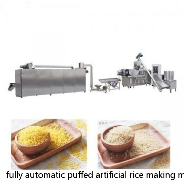 fully automatic puffed artificial rice making machine with best price