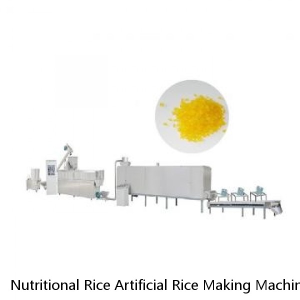 Nutritional Rice Artificial Rice Making Machine Plant from Phenix Machinery